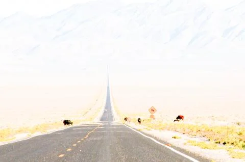 Extraterrestrial Highway, Nevada Stockfoto's