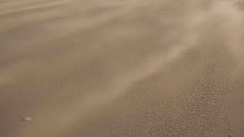 Extreme Blowing Sand on Beach at Sunset (View 2) Video stock 101115508