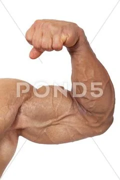 Extreme bodybuilding. Stock Photos