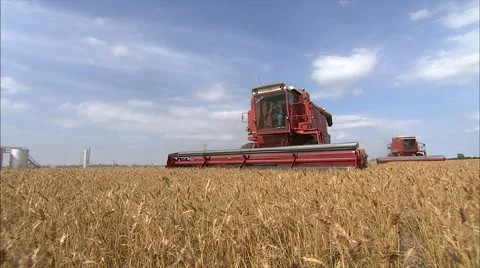 Extreme close up of 2 combines at wheat harvest Stock-Footage 42347806