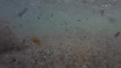 Extreme close-up of an abstract surface with a gritty texture and blurred Stock Footage 339813601