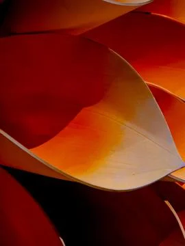 Extreme close up abstract texture of overlapping curved layers in dramatic .. Foto stock