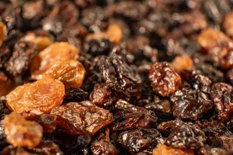 Extreme close up and selective focus of dried raisins Stock Photos