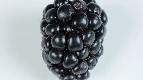 Extreme close up of a blackberry. Stock Footage 107073933