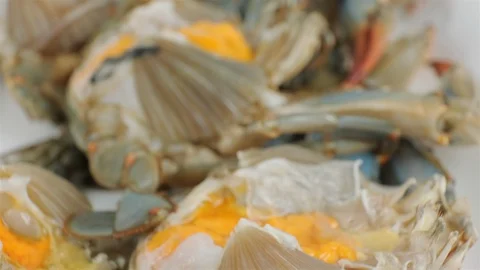 Extreme close up of blue crab with eggs. Stock Footage 107633607