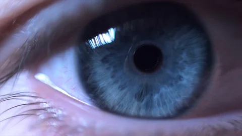 Extreme Close Up of a Blue Eye Stock Footage 88997639