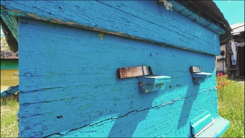 Extreme Close-Up of Blue Wooden Beehive in Sunny Apiary 스톡 동영상 335072953