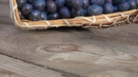Extreme close up of blueberries fall out of the basket Stock Footage 114604709