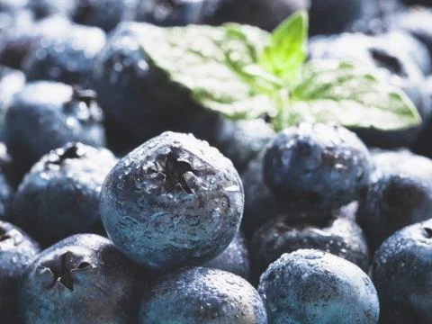 Extreme close up Blueberries 스톡 사진