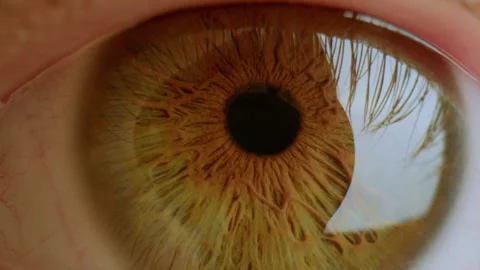 Extreme Close-Up of Brown Eye Looking into Camera Stock Footage 283486215