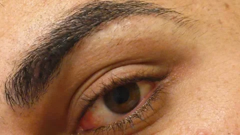 Extreme Close-Up of Brown Human Eye – Vision, Identity and Emotion Concept Stock Footage 336985798