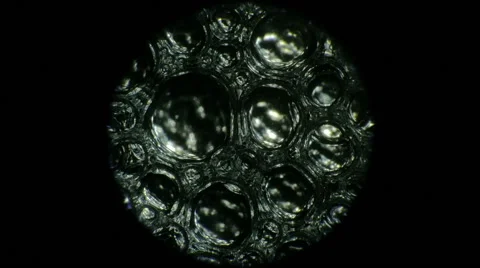 Extreme close-up bubbles Vidéo 56704046
