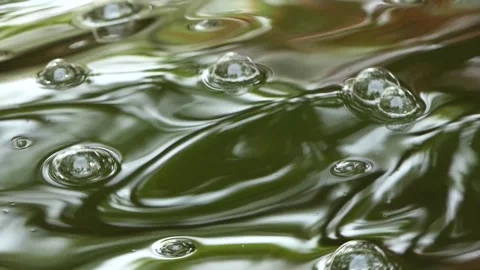 Extreme close-up bubbles in water Video stock 240952488