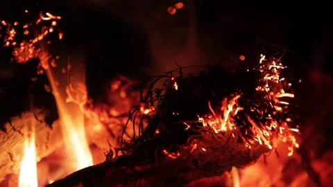 Extreme close-up of a burning log in a fireplace. Smoldering embers Stock Footage 321528484