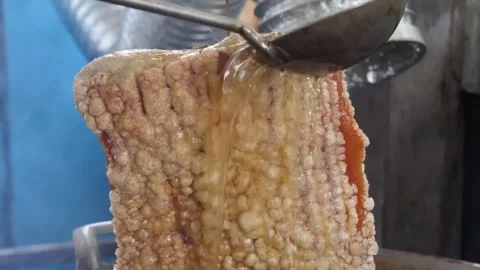 Extreme Close-up of Crispy Golden-Brown Roasted Pork Belly with Crackling Skin Stock Footage 338211767
