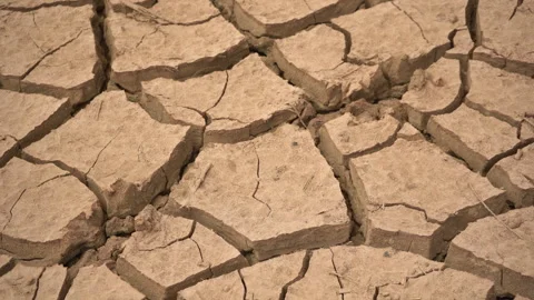 Extreme Close-Up of Deeply Cracked Parched Earth Texture in Drought Stock Footage 334699238