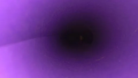 Extreme close-up, detailed. inside view of wrapping paper scroll Stock Footage 143869797