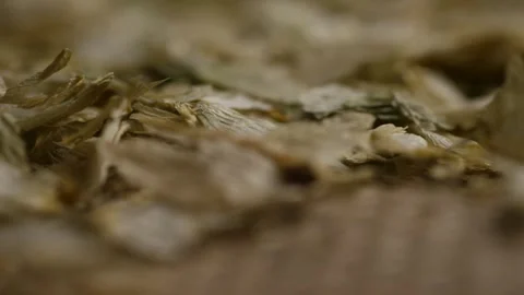 Extreme close up of dried hops on burlap fabric Stock Footage 327910197