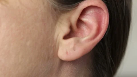 Extreme Close Up of Ear Vidéo 87031840
