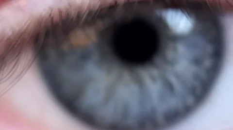 Extreme Close Up of Eye 動画素材 40361210