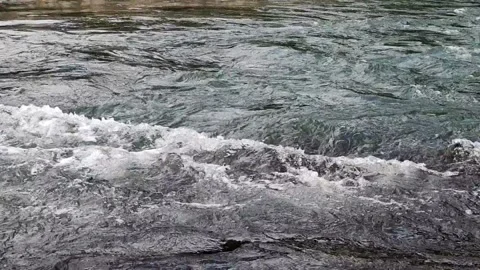 Extreme Close Up of Fast Flowing River Water with Crisp Nature Sound - 4K Stock Footage 328058425