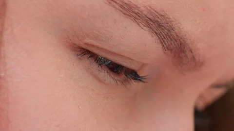 Extreme Close Up Focused Eye with Eyelid Down, Lashes, Brow, Skin Texture Stock Footage 322669477