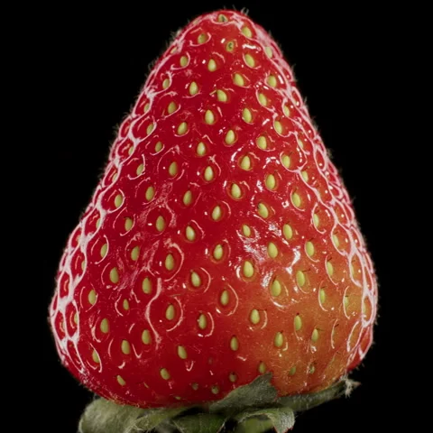 Extreme Close Up Fresh Strawberry Texture Seamless Loop Stock-Footage 335882686