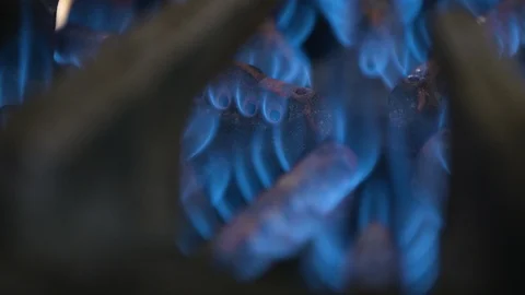 Extreme close up of gas flame igniting in stovetop burner Stock Footage 123923030