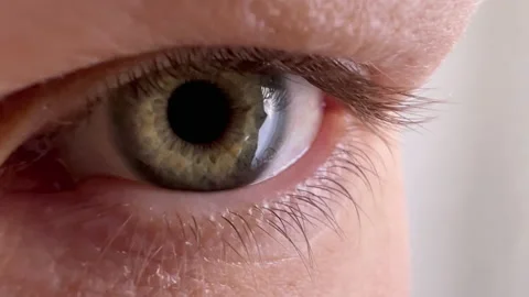 Extreme close up of a green eye with light changes and movements Stock Footage 232484699