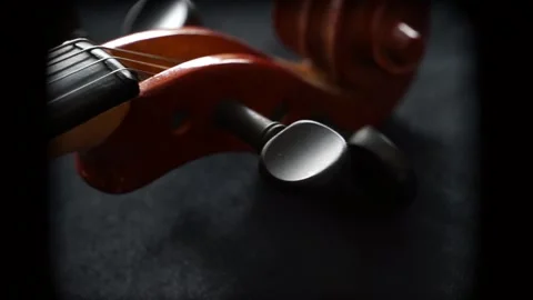 Extreme Close Up head Viola Stock Footage 257888413