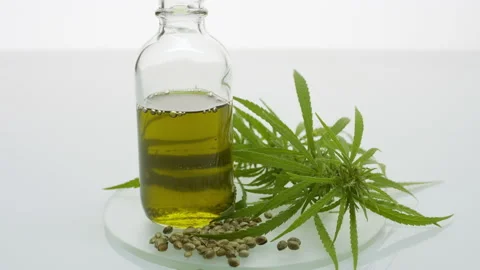 Extreme close-up of hemp sprig, hemp seeds and bottle with oil Stock Footage 233761265