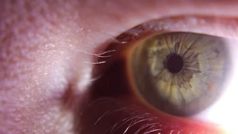 Extreme close up of human eye with bright light Stock Footage 143412223