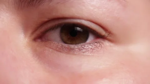 Extreme close-up of a human eye with brown iris and detailed skin texture Stock Footage 339212170