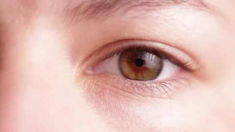 Extreme close-up of a human eye with brown iris and delicate skin texture Stock Footage 339212227
