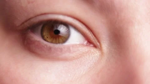 Extreme close-up of a human eye with brown iris and detailed skin texture Stock Footage 339212309