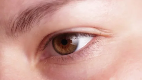 Extreme close-up of a human eye with brown iris and detailed skin texture Stock Footage 339212330