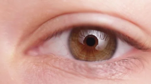 Extreme close-up of a human eye with brown iris and detailed skin texture Stock Footage 339212689