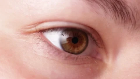 Extreme close-up of a human eye with brown iris and visible skin texture Stock Footage 339213619