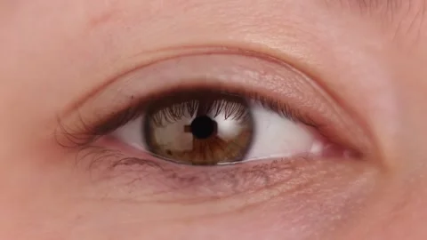 Extreme close-up of a human eye with brown iris and detailed skin texture Stock Footage 339214222