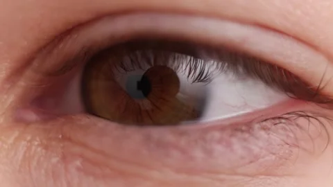 Extreme close-up of a human eye with brown iris and detailed skin texture Stock Footage 339216159