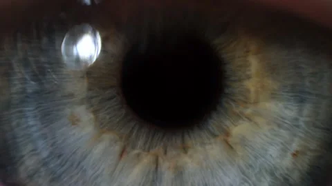 Extreme close up of human eye Stock Footage 194482918