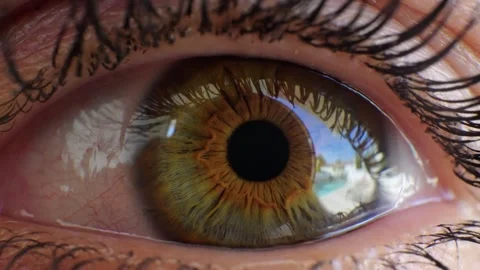 Extreme Close Up Of Human Eye 스톡 동영상 318205541