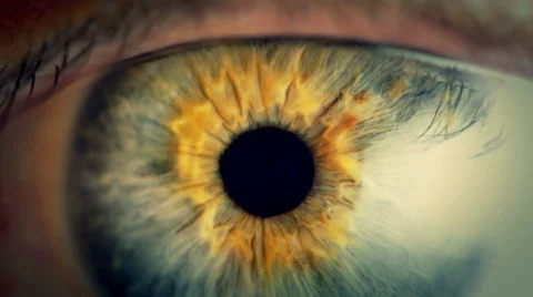 Extreme close up human eye iris in 4K UHD video. Stock Footage 47918163