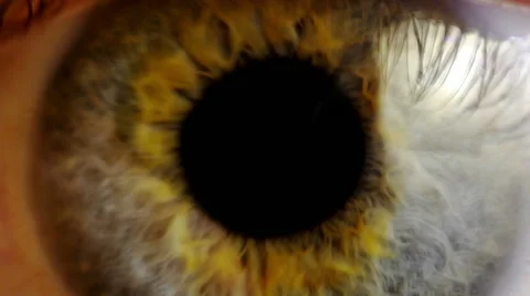 Extreme close up human eye iris Stock Footage 49035462