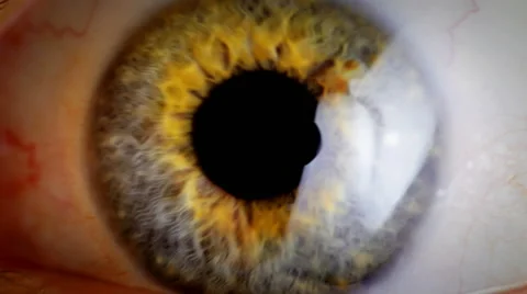 Extreme close up human eye iris Stock Footage 58913475