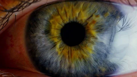 Extreme close up human eye iris  스톡 동영상 60218367