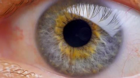 Extreme close up human eye iris  動画素材 68971496