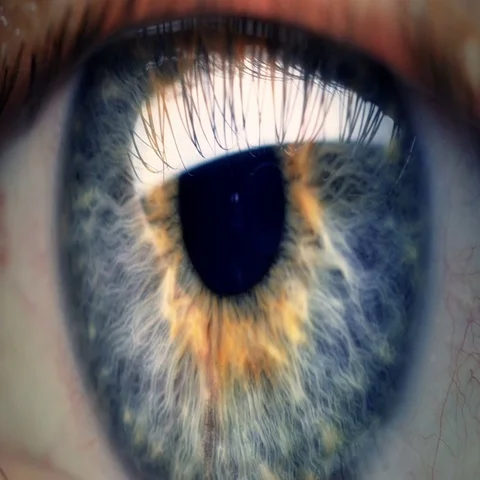 Extreme close up human eye iris  Vídeo Stock 69526604