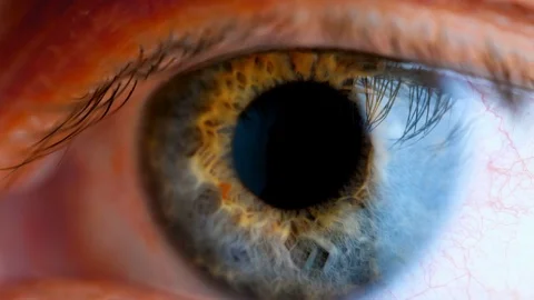 Extreme close up human eye iris Stock Footage 83448956