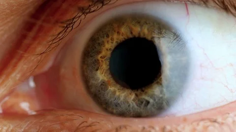 Extreme close up human eye iris Stock Footage 84483158